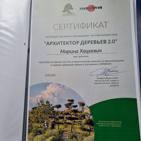 Сертификат практикума по формированию ниваки, июнь 2023