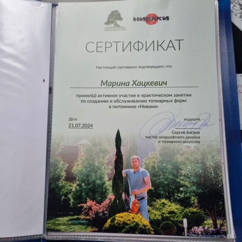Сертификат практикума по топиарным формам